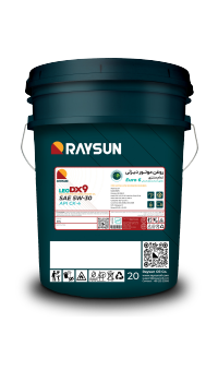 RAYSUN LEO DX9 RAYSUN LEO DX9